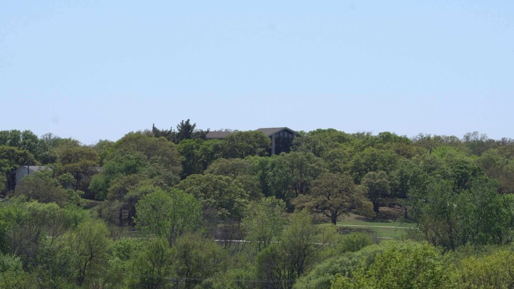 View of trees at Santé Center for Healing