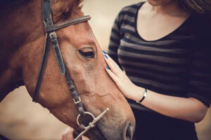 During drug rehab equine therapy helps patients develop patience.